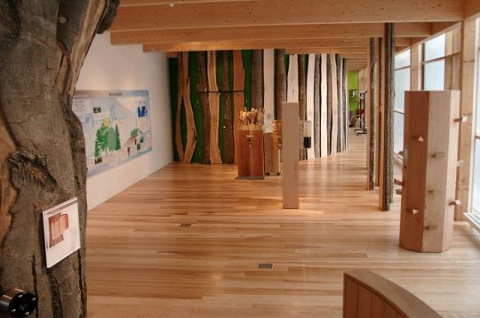 Innenraum eines holzthemenorientierten Museums mit Holzbalken und Bildungstafeln an den Wänden.