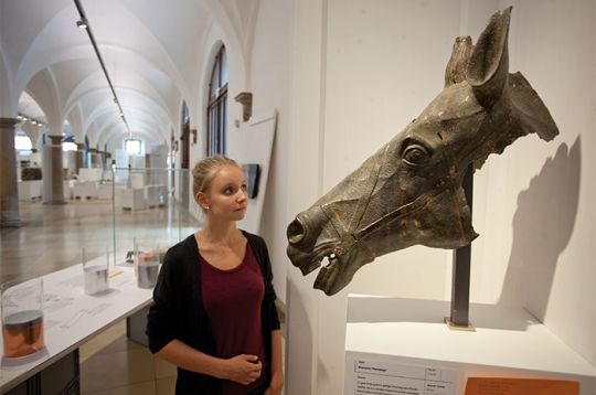 Donna che osserva una scultura di cavallo in una sala espositiva del museo.