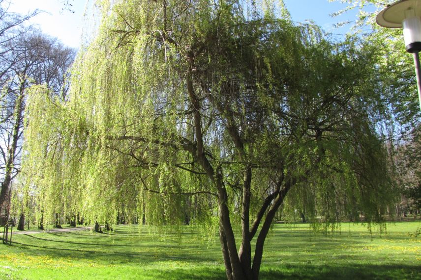 Luitpoldpark Schwabmünchen