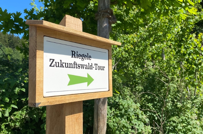 Ein Holzschild zeigt den Weg zur Riegele Zukunftswald-Tour inmitten grüner Vegetation.