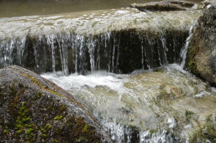 Kleiner Wasserfall fließt über moosbedeckte Felsen und schafft eine beruhigende Szenerie in der Natur.