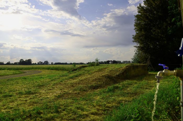 Rai Reiten Dasing, Camping mit Blick auf die Pferdekoppel